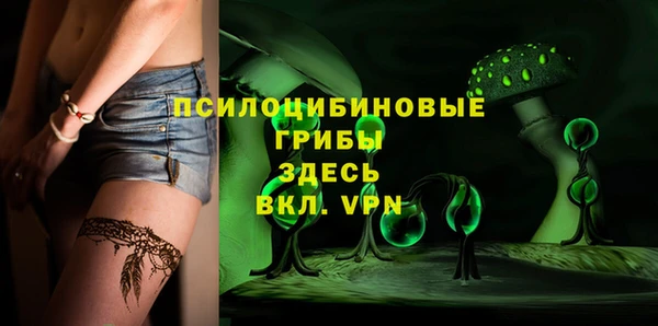 твердый Алексеевка