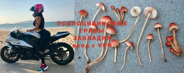 синтетический гашиш Алексин