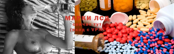 твердый Алексеевка