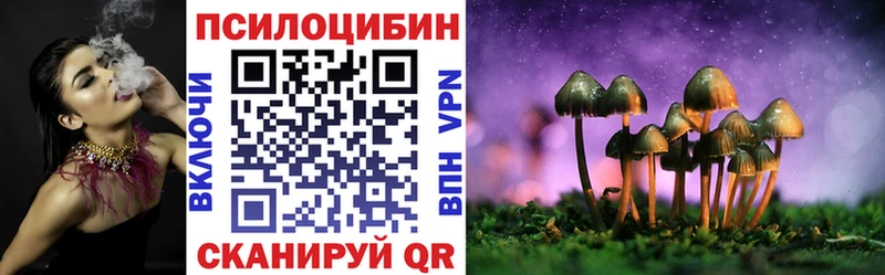 где найти   Анапа  Псилоцибиновые грибы мицелий 